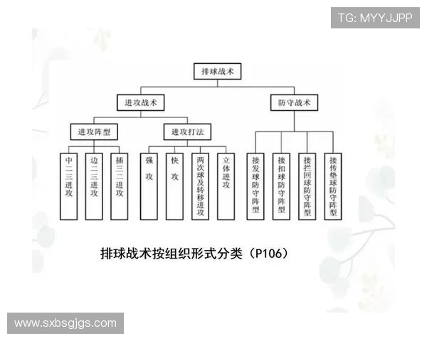 北京排球队在锦标赛中的强势表现与战术分析