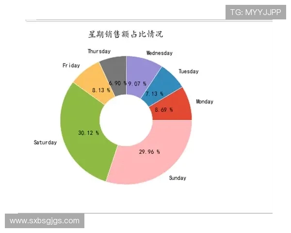 杭州滑板队技术表现数据分析与提升策略探讨