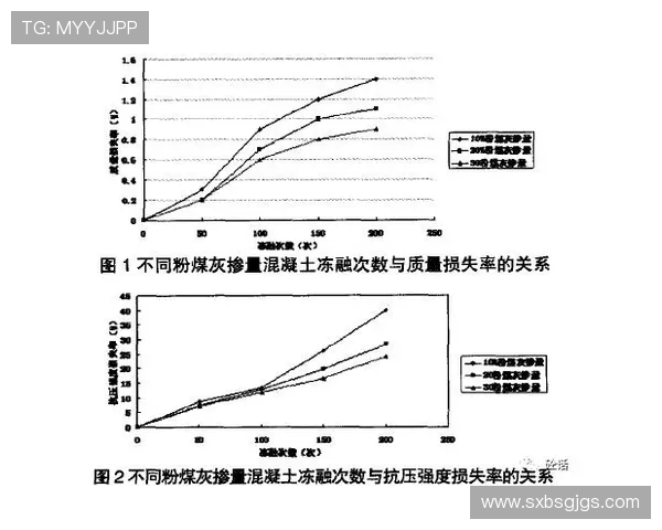 深入探讨北京羽毛球队成员个人能力差异及其对比赛表现的影响分析